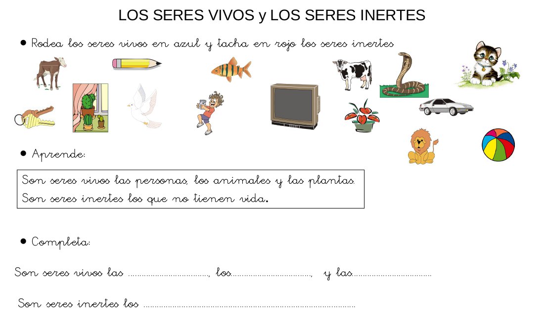 Actividades De Los Seres Vivos Y Los Animales Naturales Worksheet